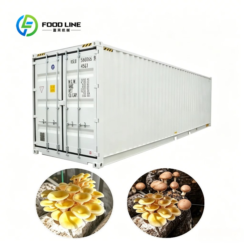 Urban Farming Hydroponic System - ฟาร์มปลูกพืชแบบไฮโดรโปนิกส์ในภาชนะพร้อมระบบให้น้ำอัตโนมัติสำหรับการเกษตรในร่มและการเกษตรในเมือง โครงการแบบครบวงจร